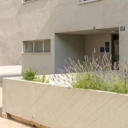 Sun & Palms アパート