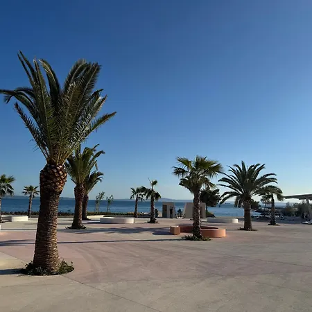 Sun & Palms Split
