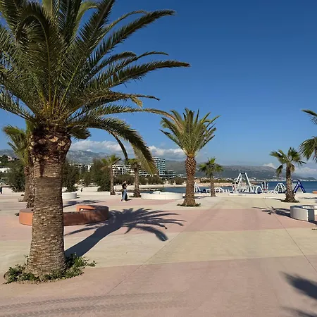 Sun & Palms