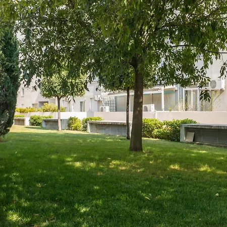 Sun & Palms 스플리트